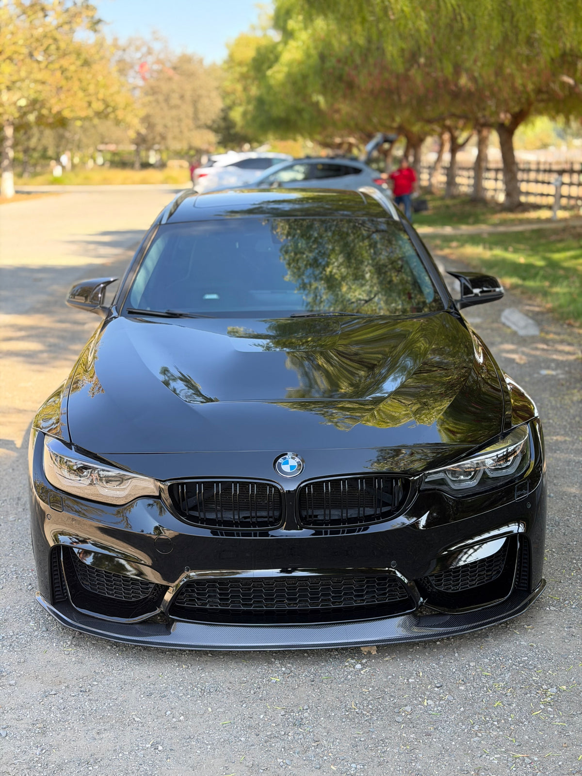 BMW F80 M3/F82/F83 M4 Carbon Fiber AP Front Lip