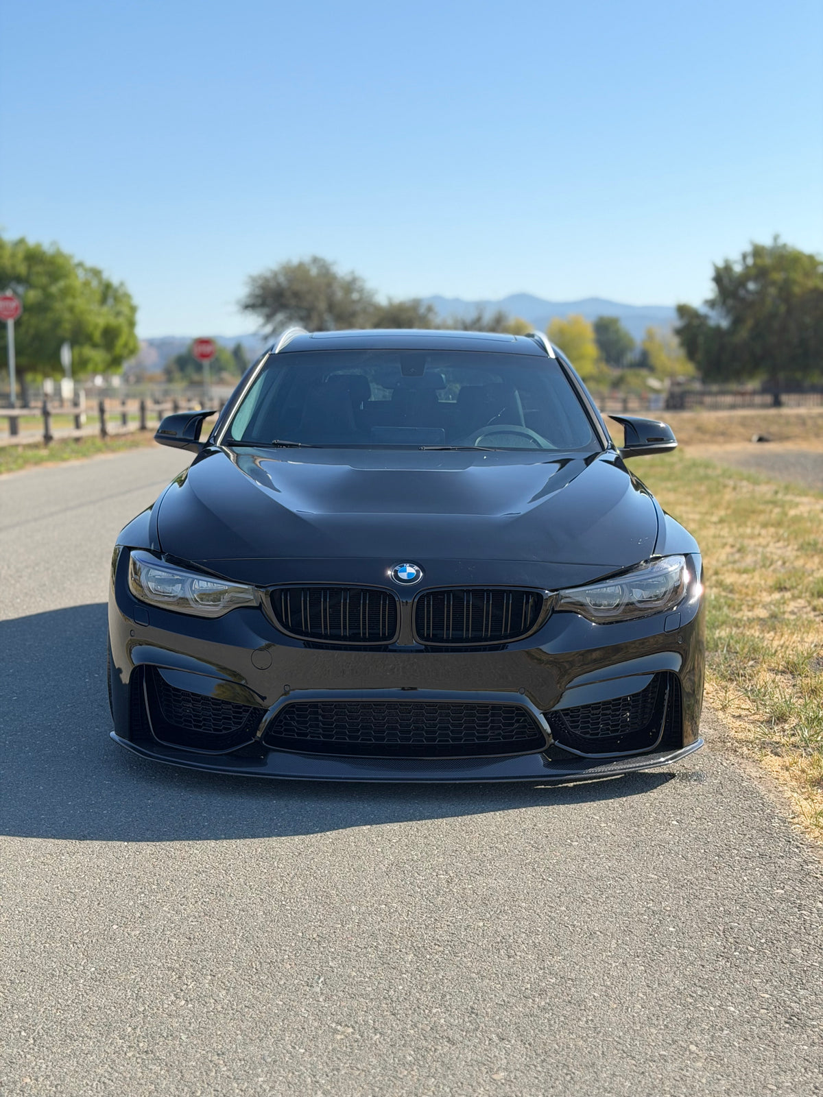 BMW F80 M3/F82/F83 M4 Carbon Fiber AP Front Lip