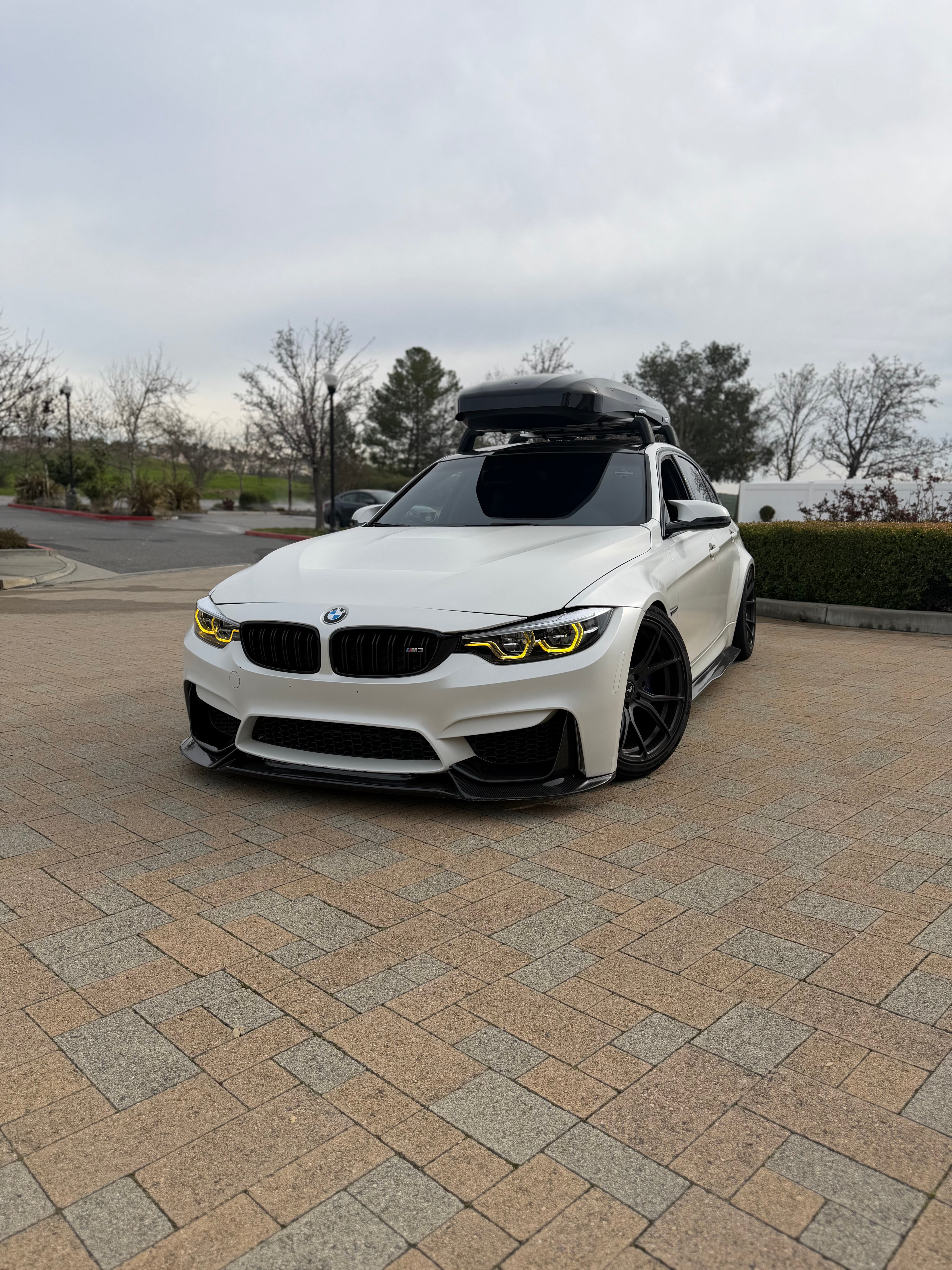 BMW F80/F82/F83 M3/M4 Carbon Fiber Artisan Front Lip