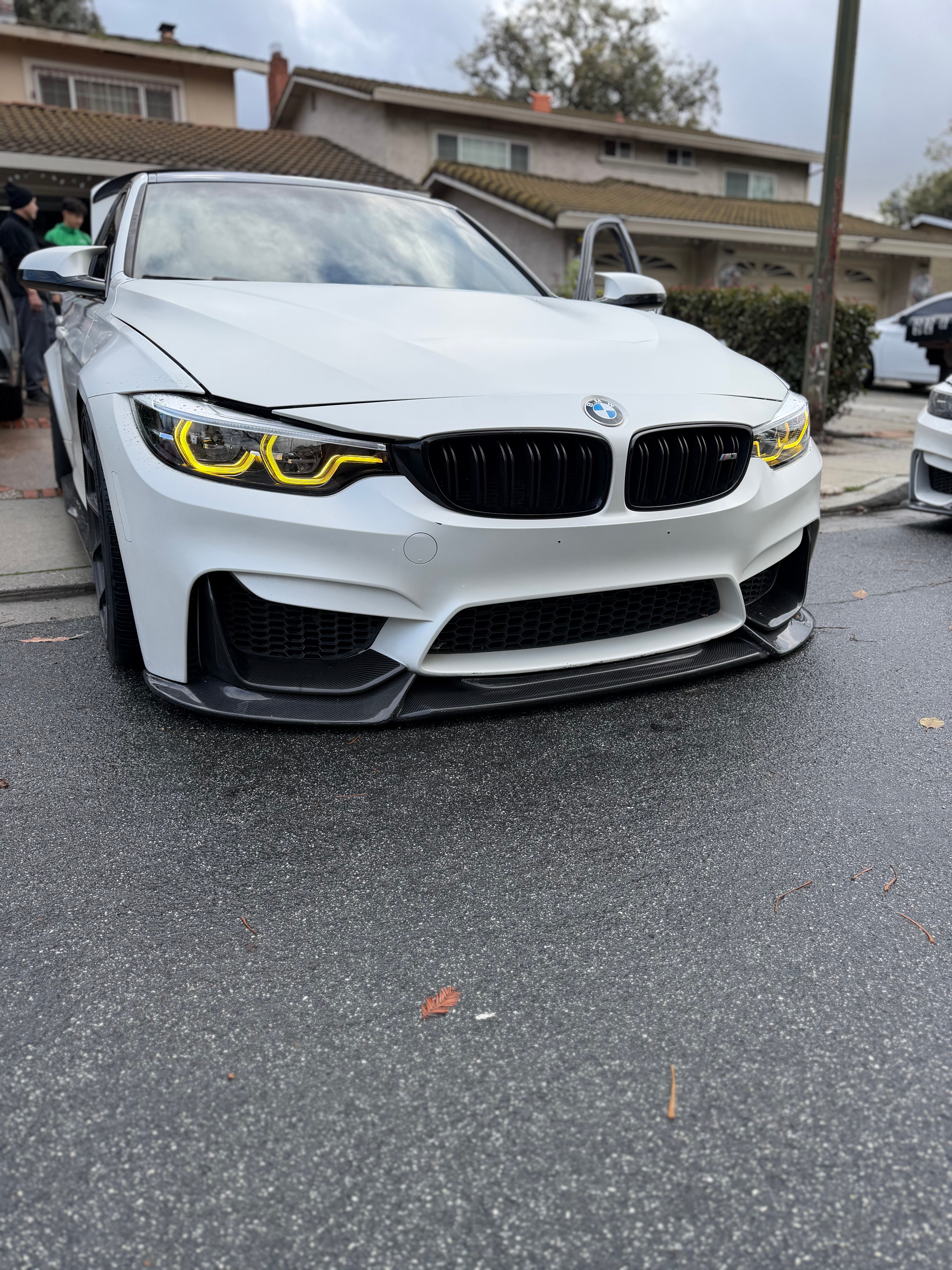 BMW F80/F82/F83 M3/M4 Carbon Fiber Artisan Front Lip