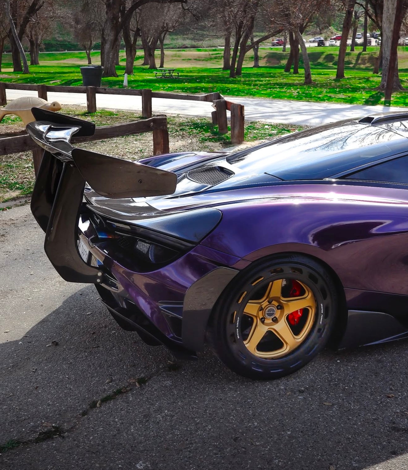 McLaren 720s/765LT Carbon Fiber Chassis Mount Wing