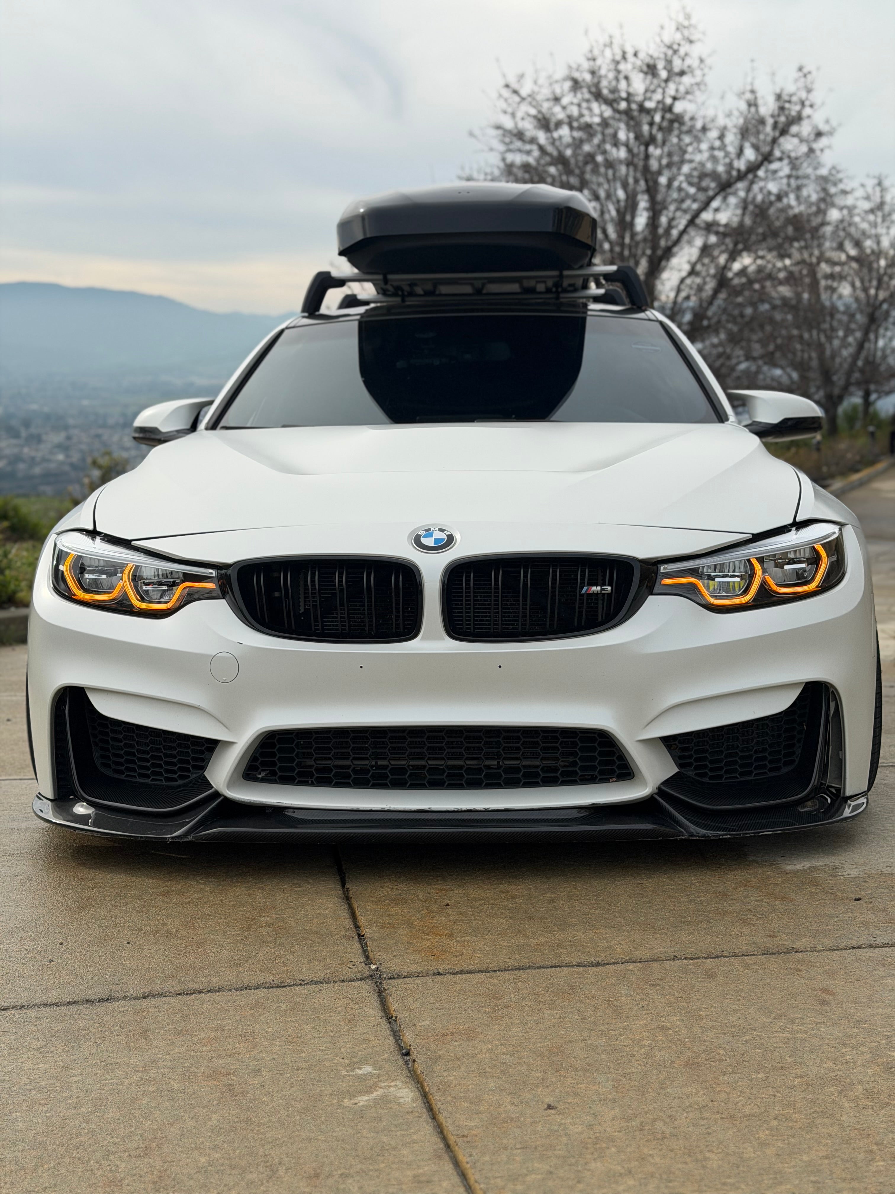 BMW F80/F82/F83 M3/M4 Carbon Fiber Artisan Front Lip