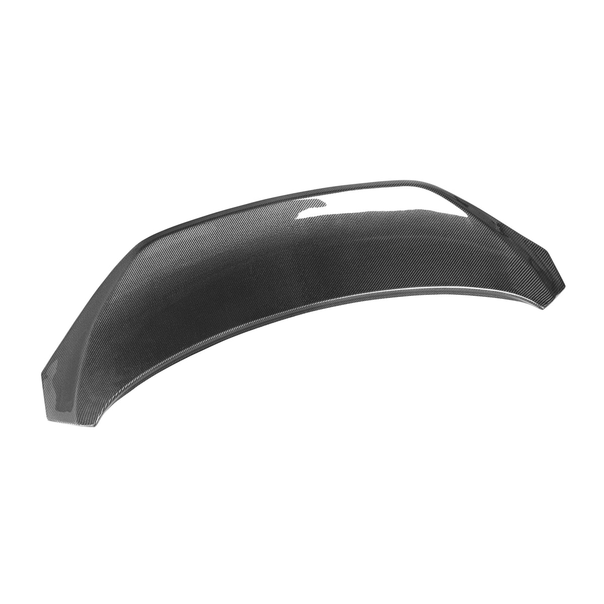 Audi RS E Tron GT Carbon Fiber Rear FD Spoiler