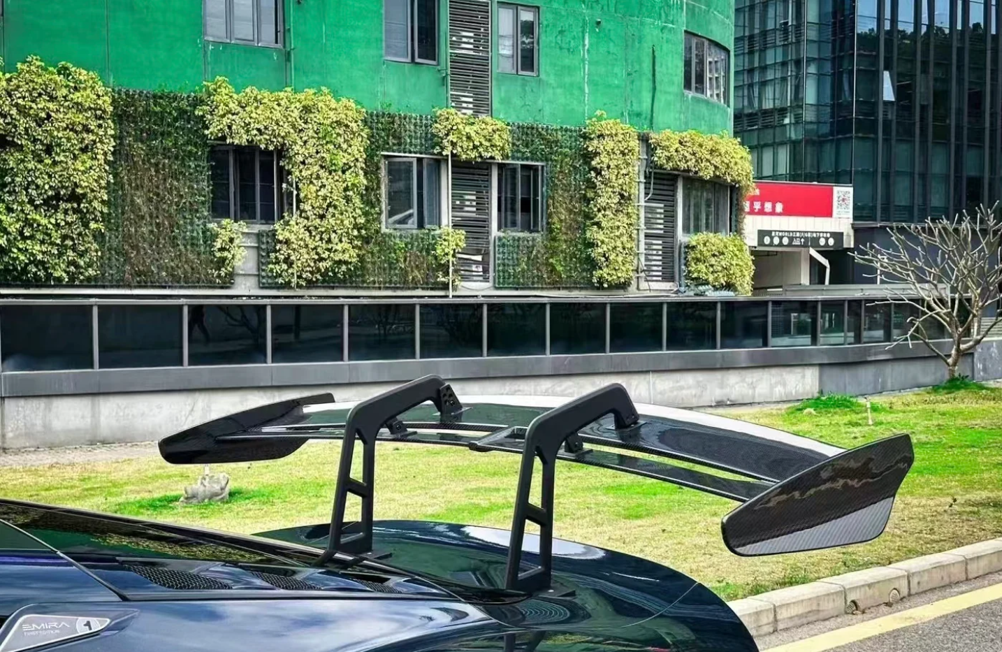 Lotus Emira Carbon Fiber GT Wing