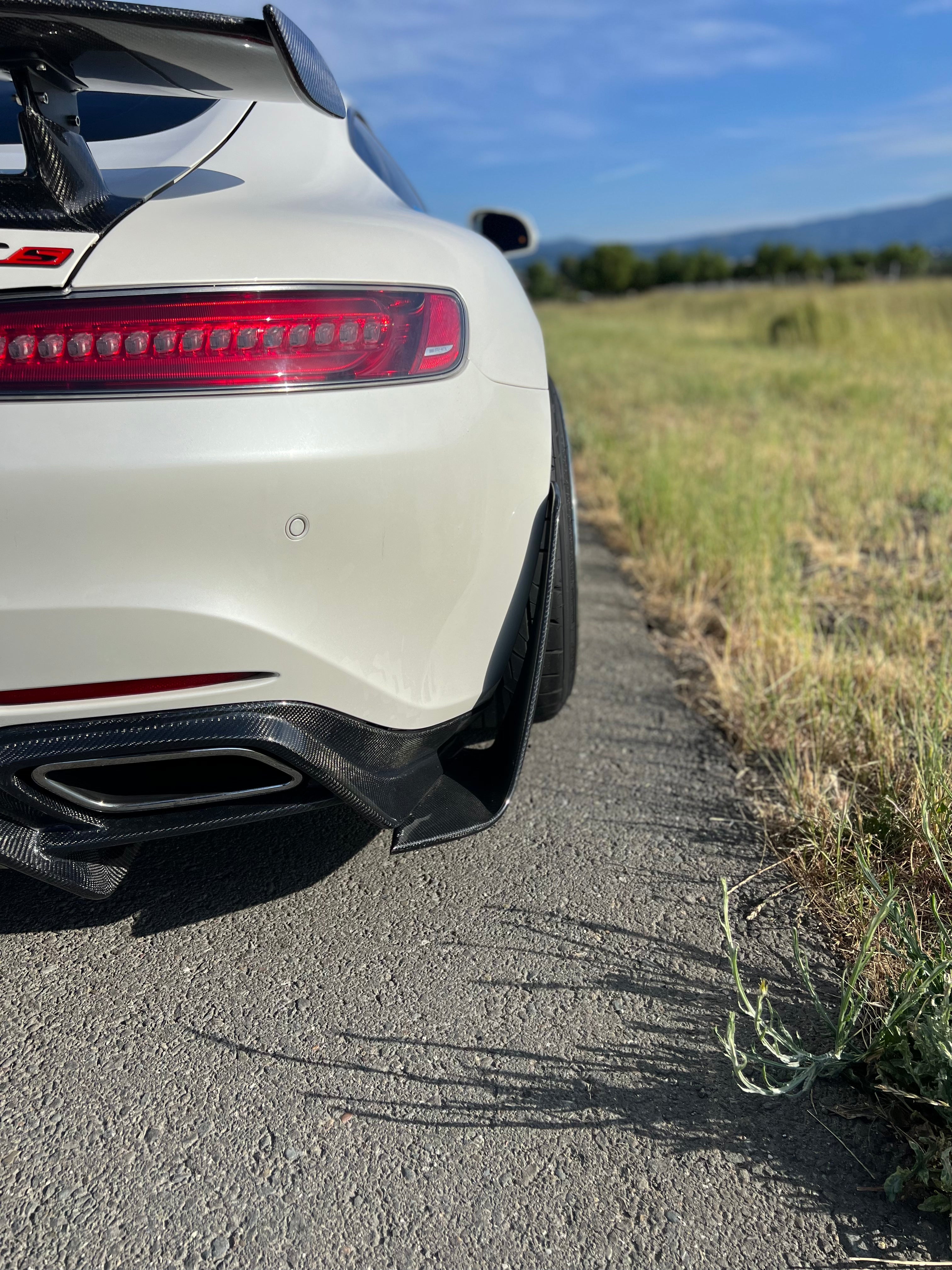 Mercedes AMG GTR Pro Style Rear Splitter