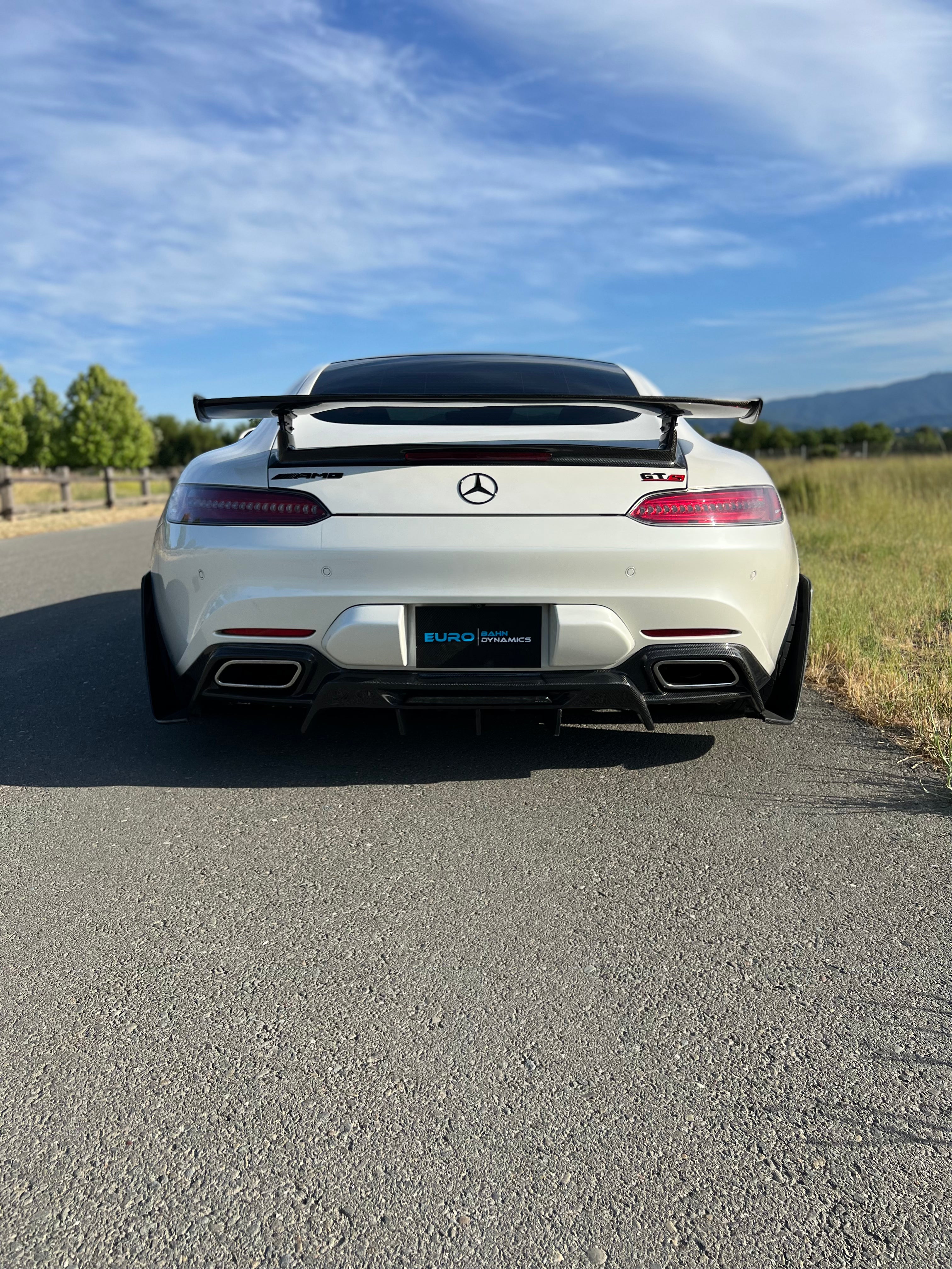 Mercedes AMG GTR Pro Style Rear Splitter