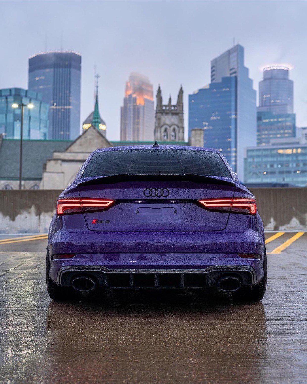 Audi RS3 Carbon Fiber Fin Diffuser - eurobahndynamics
