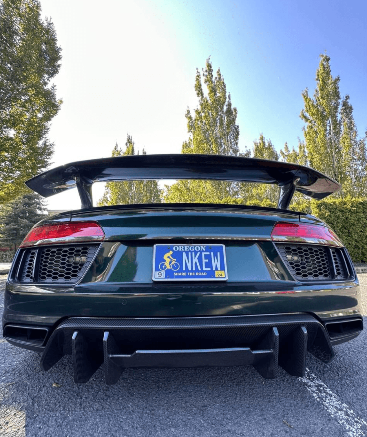 Audi R8 Artisan Carbon Fiber Wing - eurobahndynamics