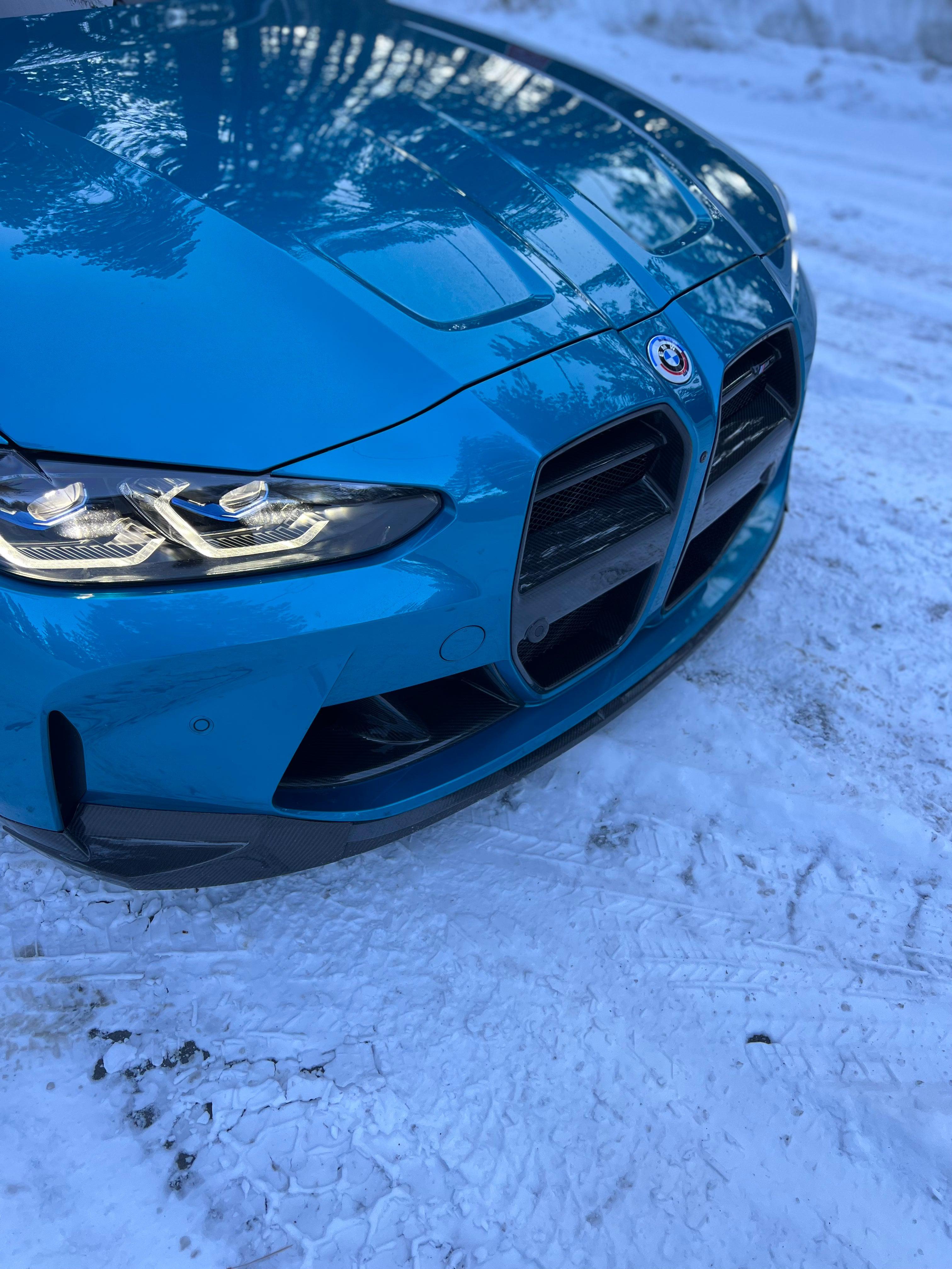 G8X Carbon Fiber Artisan Vor Style Front Grille - eurobahndynamics