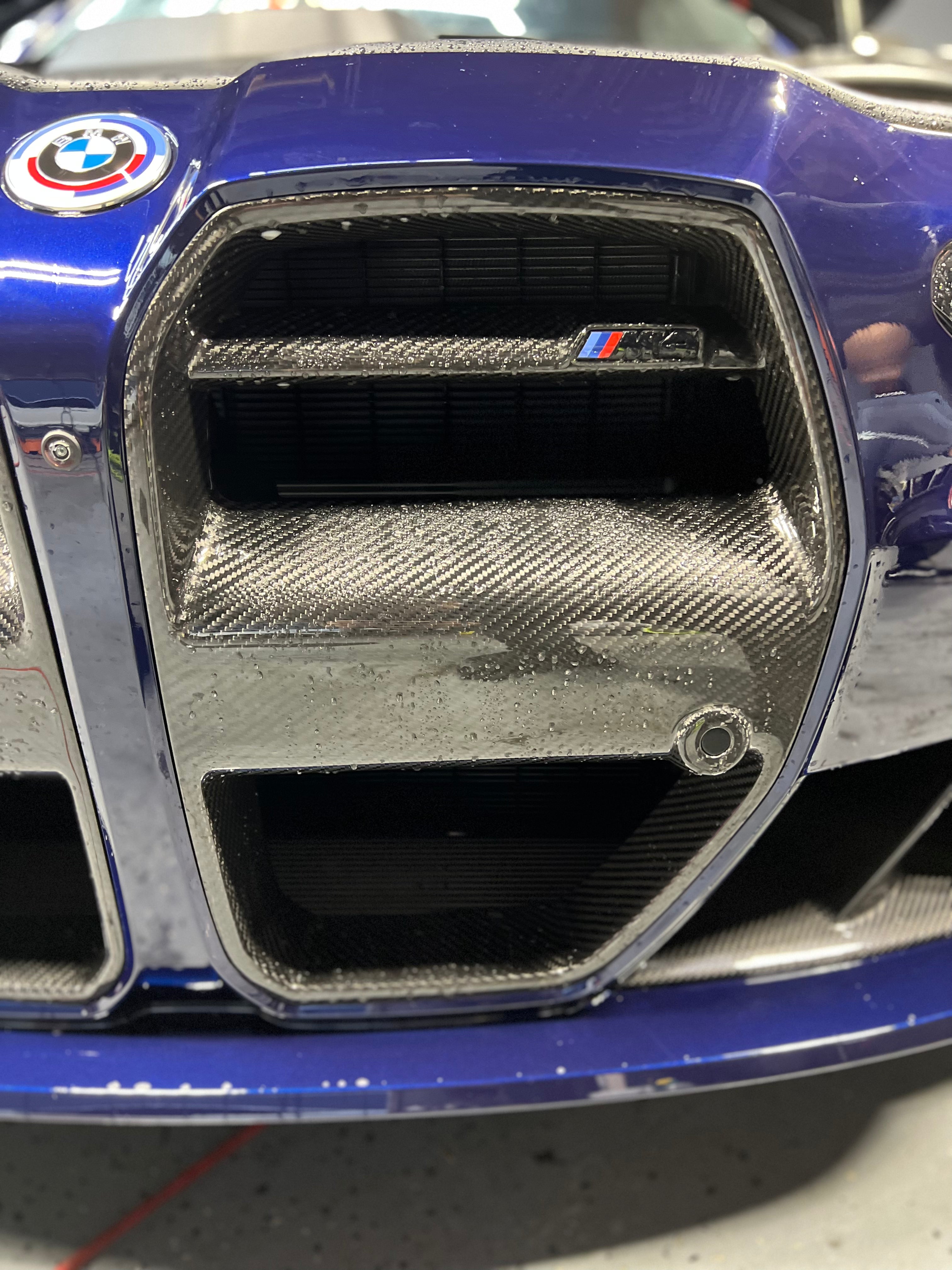 G8X Carbon Fiber Artisan Vor Style Front Grille - eurobahndynamics