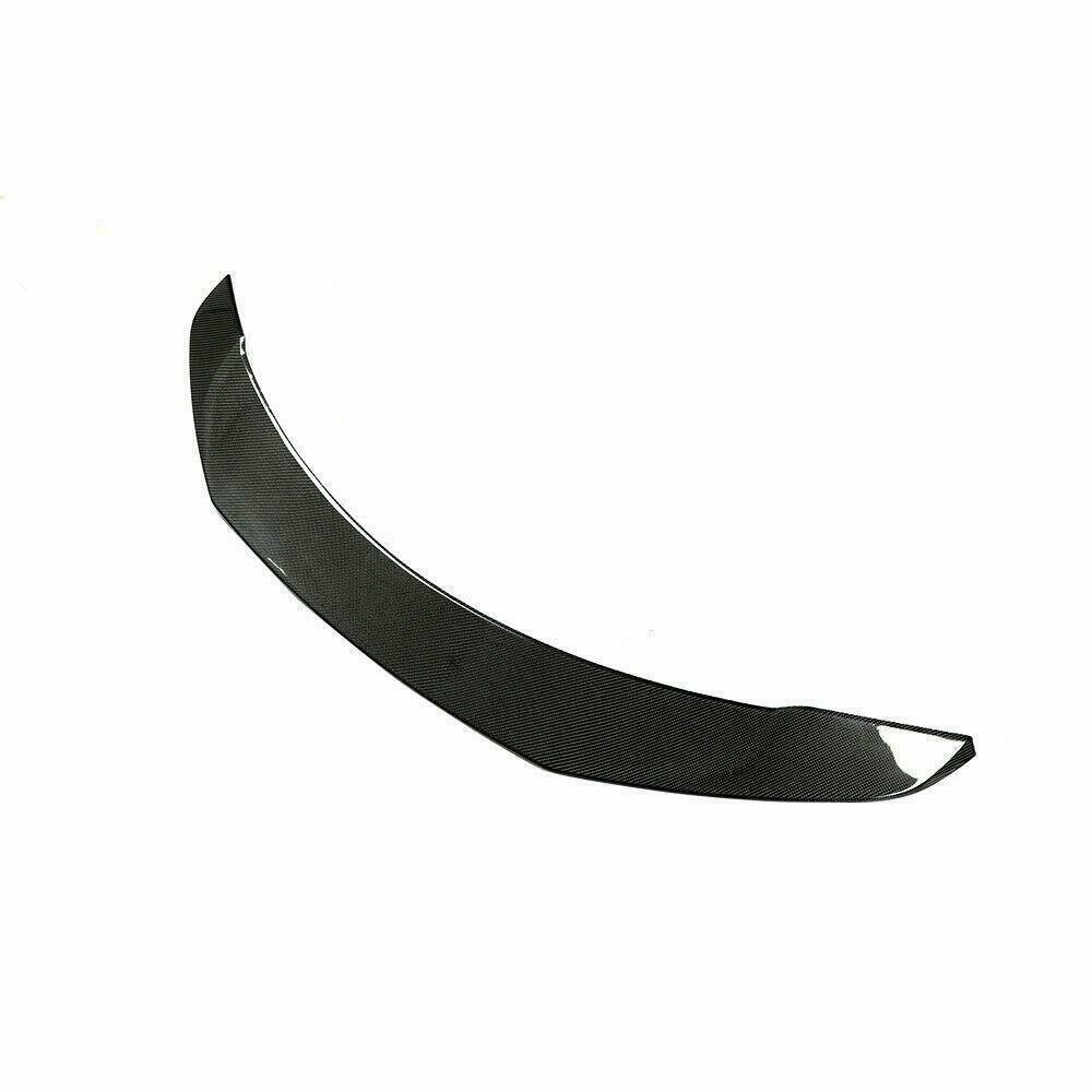 Tesla Artisan Carbon Fiber Spoiler - eurobahndynamics