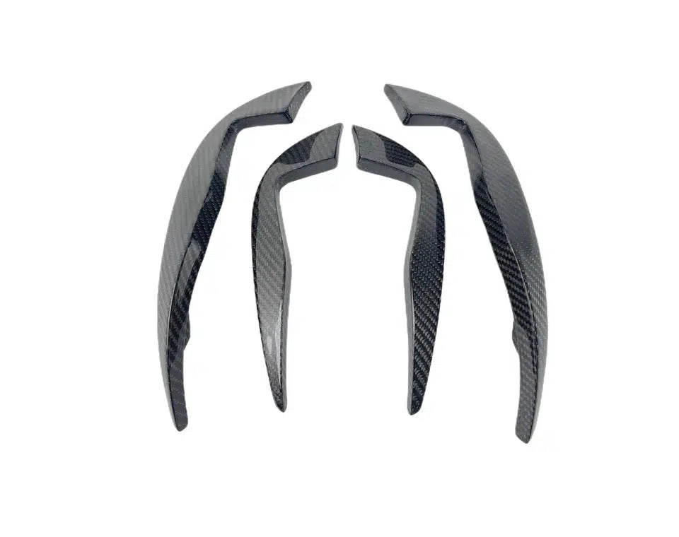 Audi TTRS Carbon Fiber Front Canards