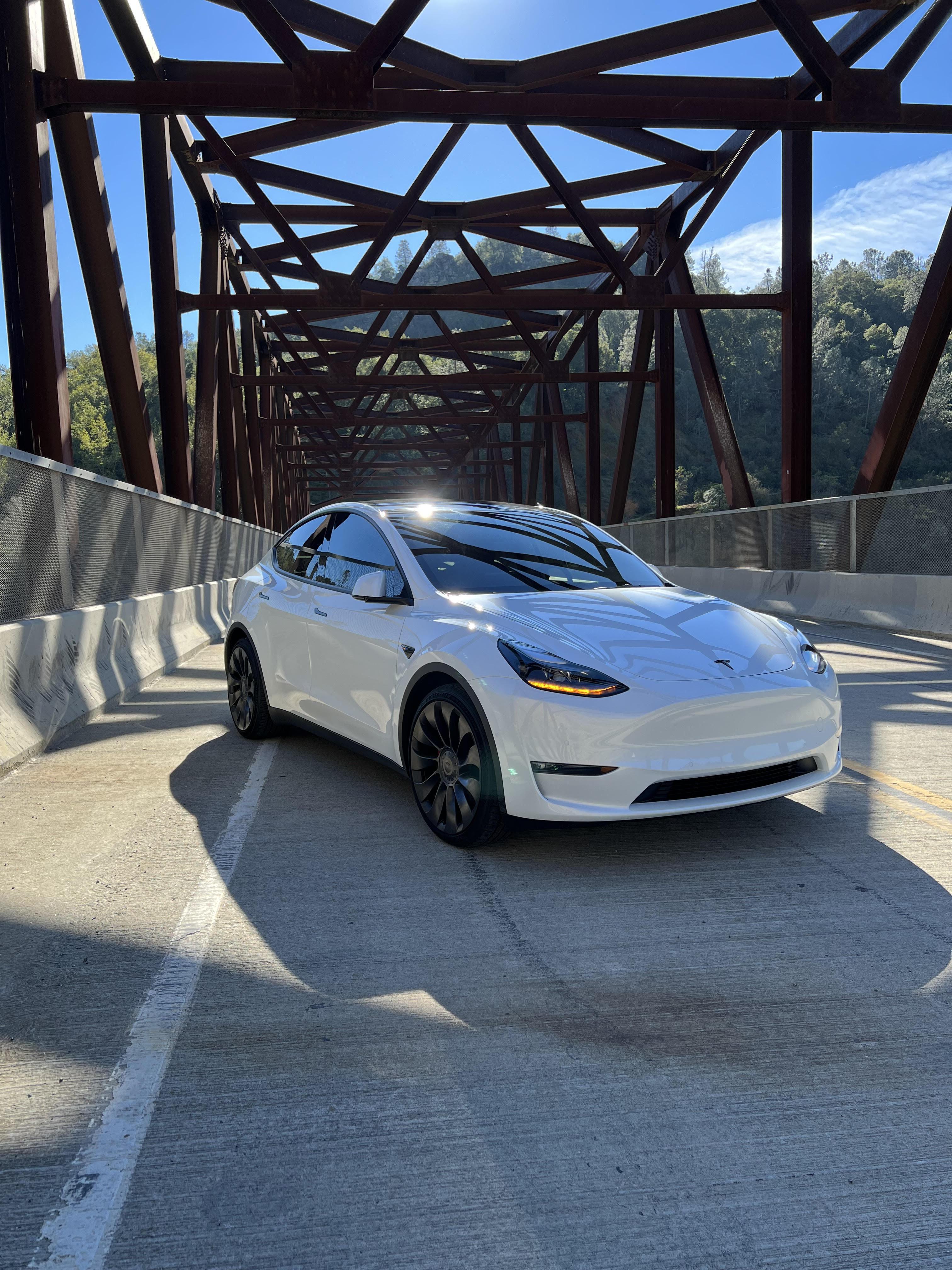 Tesla model 3/Y Hood emblem - eurobahndynamics