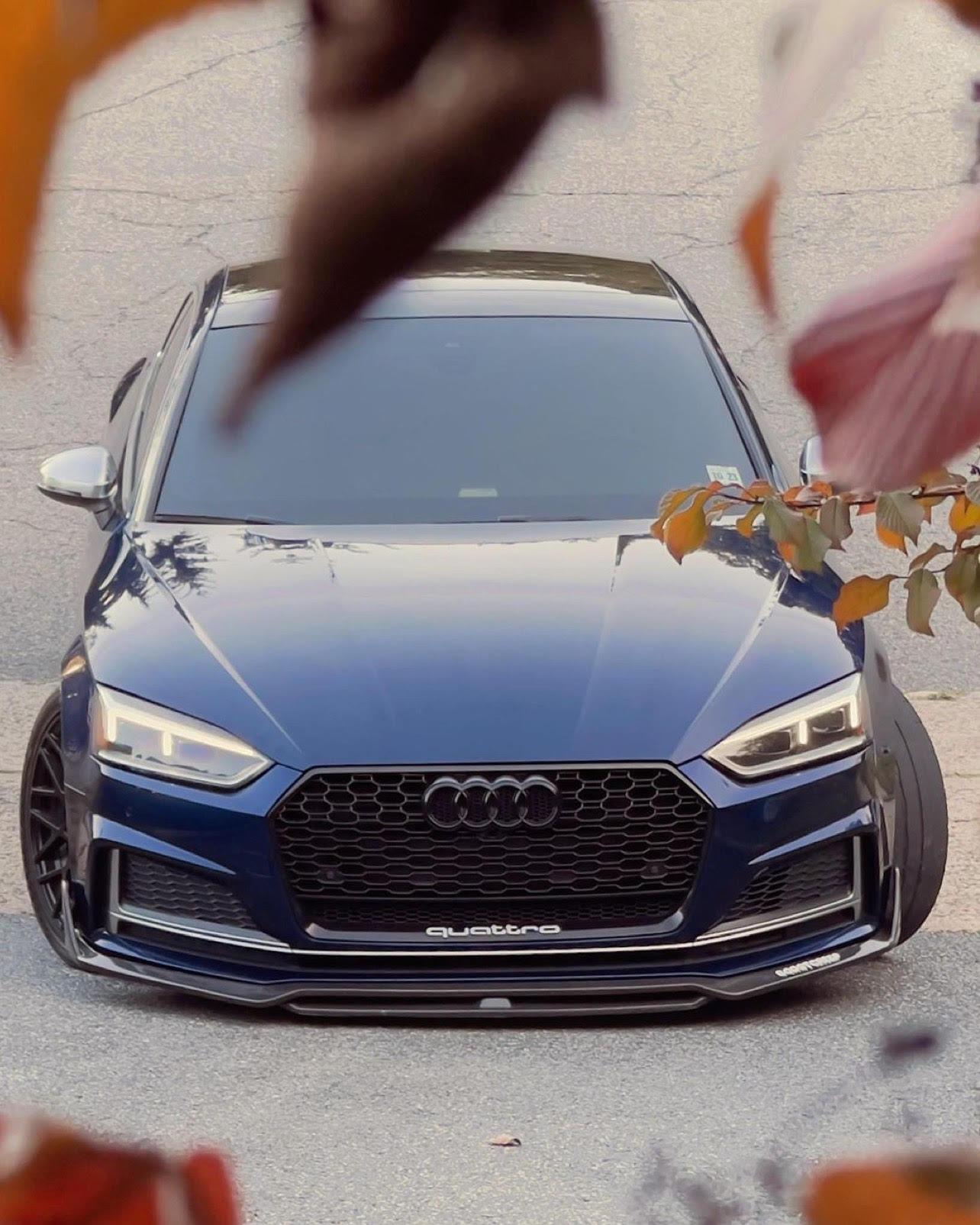 Audi A5/S5 Carbon Fiber Front Lip 2017-2019 - eurobahndynamics