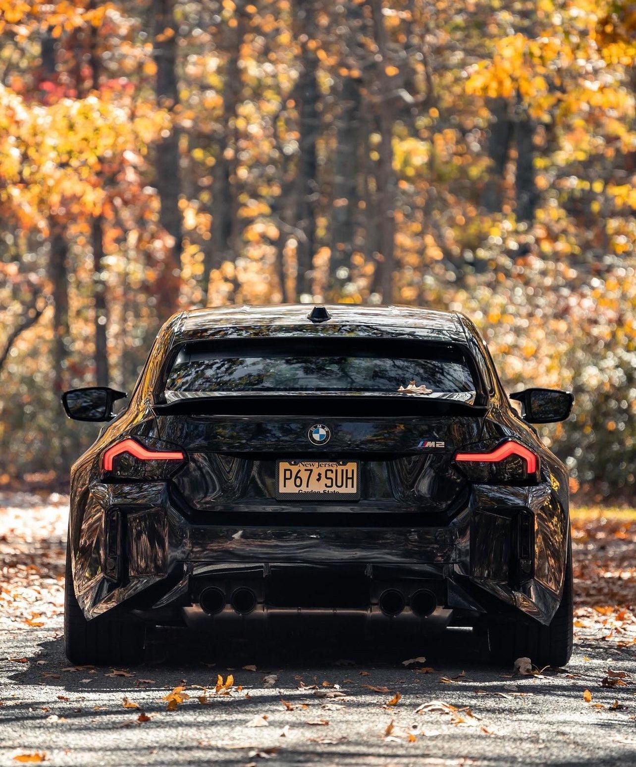 BMW G87 M2 Carbon Fiber Artisan LTW Style Wing