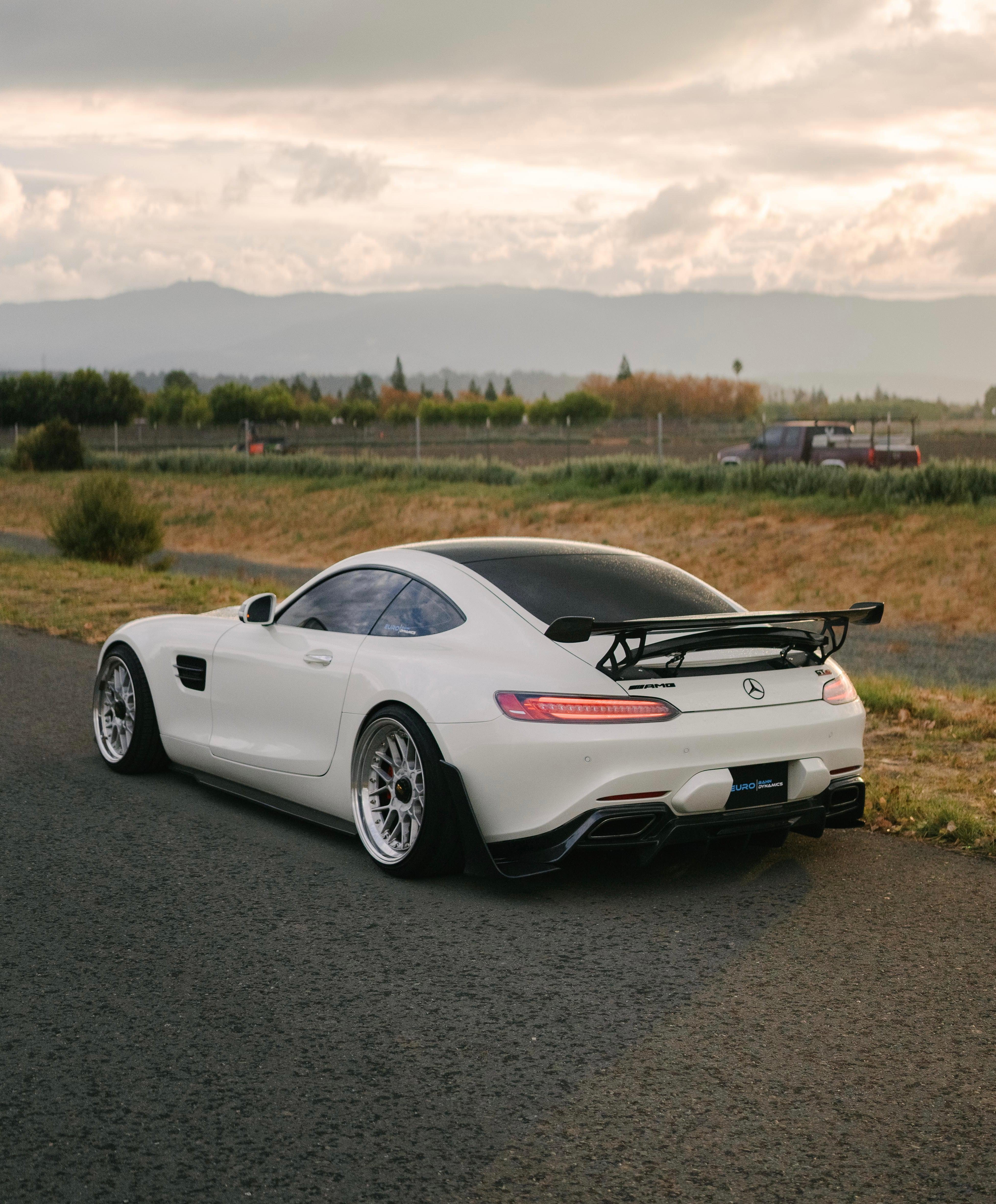 Mercedes AMG GT/GTS/GTC/GTR AP Wing