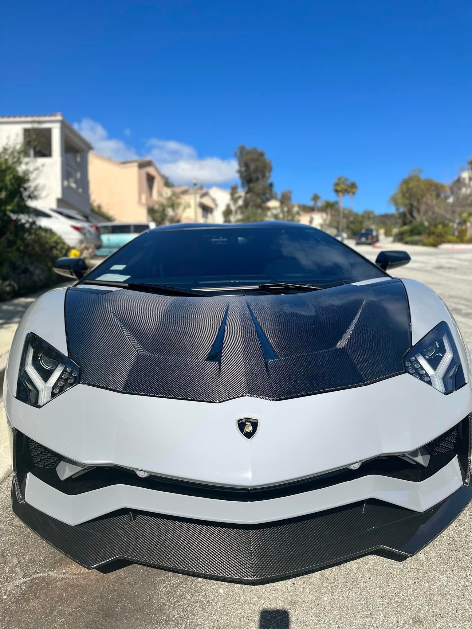 Lamborghini Aventador Carbon Fiber Hood