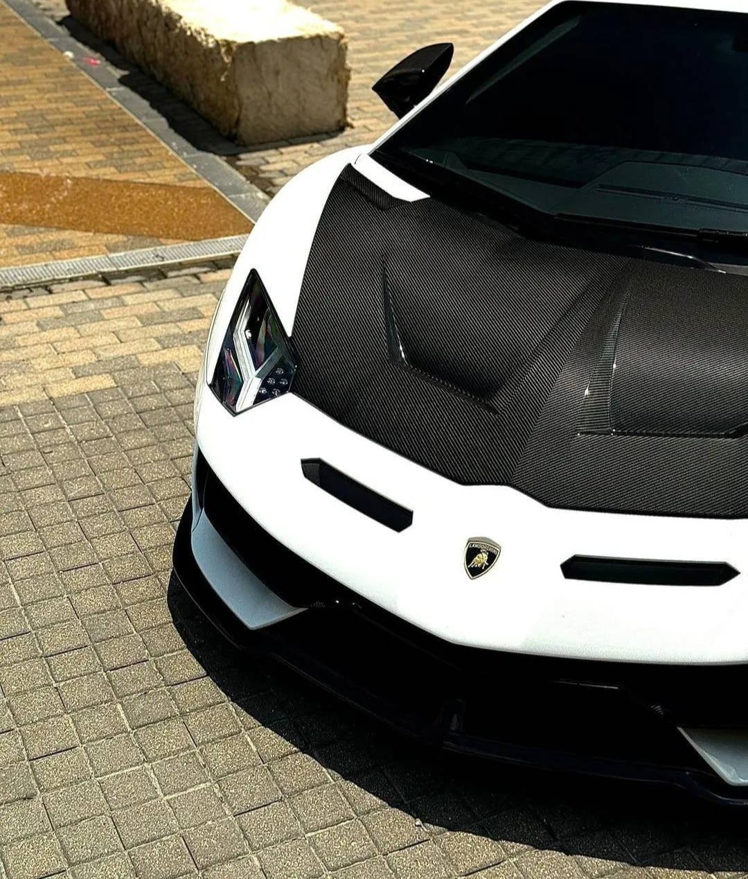 Lamborghini Aventador Carbon Fiber Hood