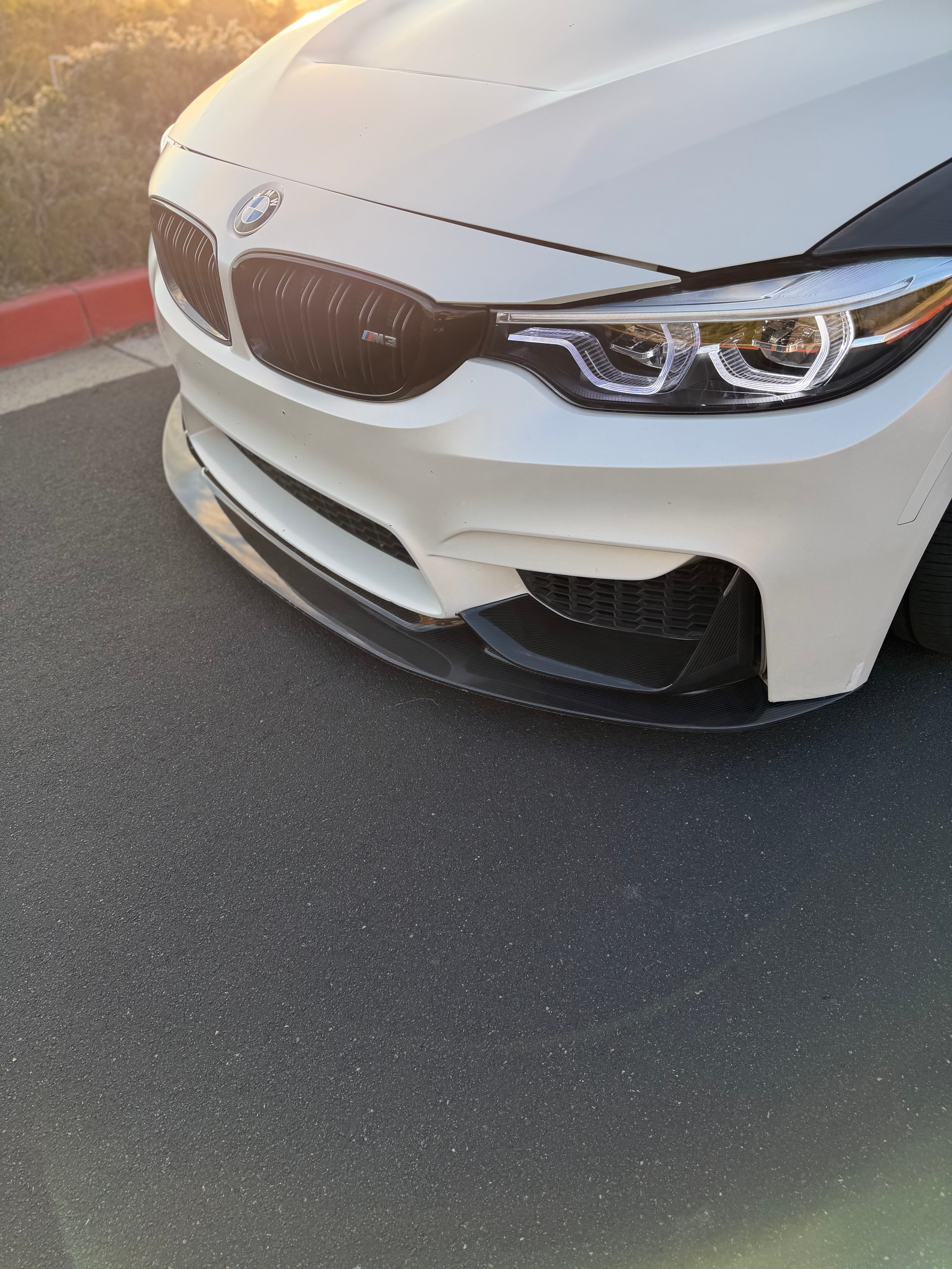 BMW F80 M3/F82/F83 M4 Carbon Fiber AP Front Lip