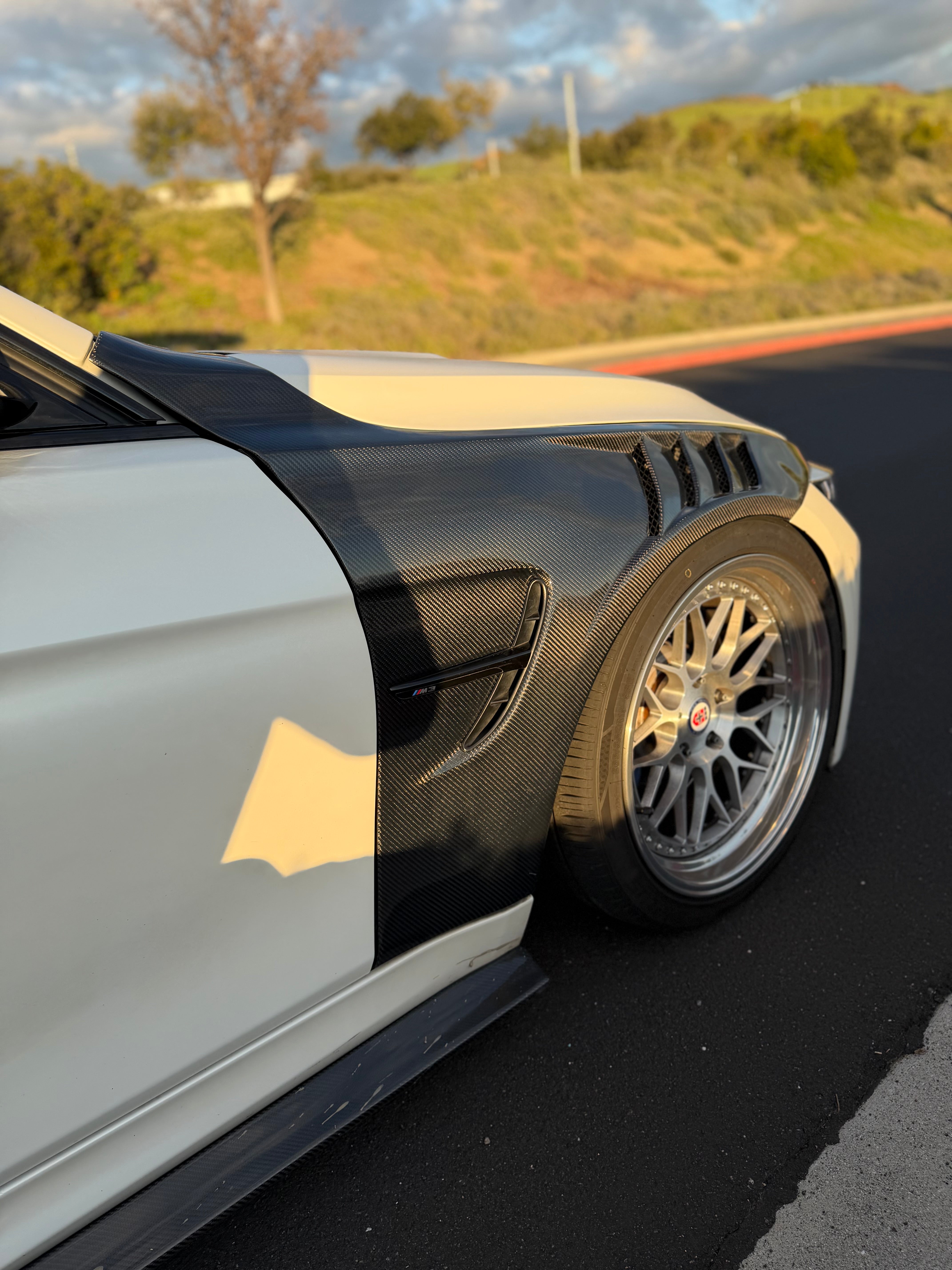 BMW F80 M3/F82/F83 M4 Carbon Fiber Vented Fenders | Eurobahndynamics