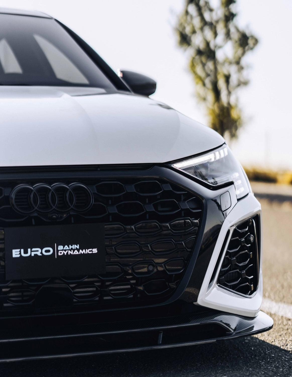2022 Audi RS3 8Y Carbon Fiber Front Lip | Eurobahndynamics