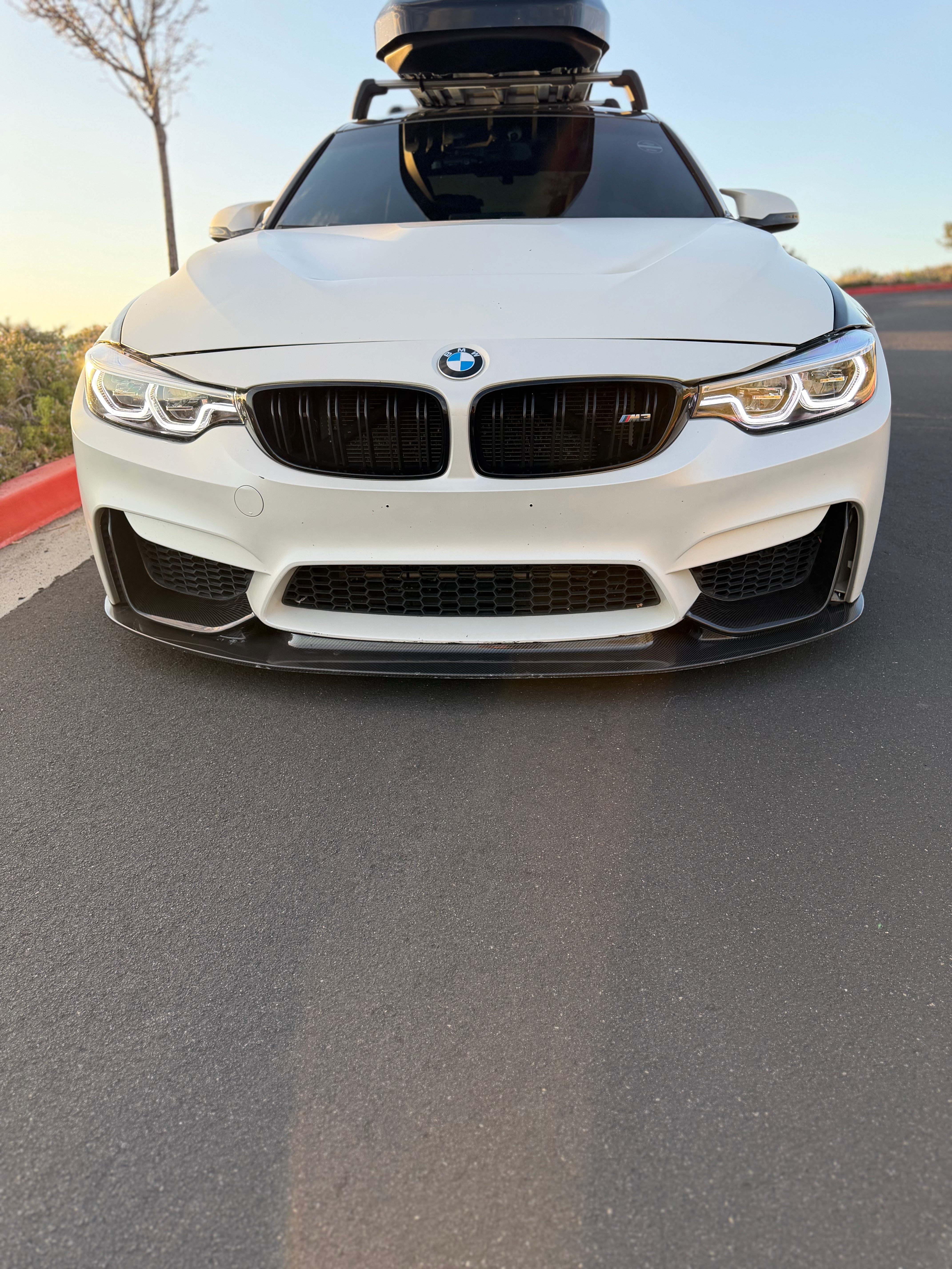 BMW F80 M3/F82/F83 M4 Carbon Fiber AP Front Lip
