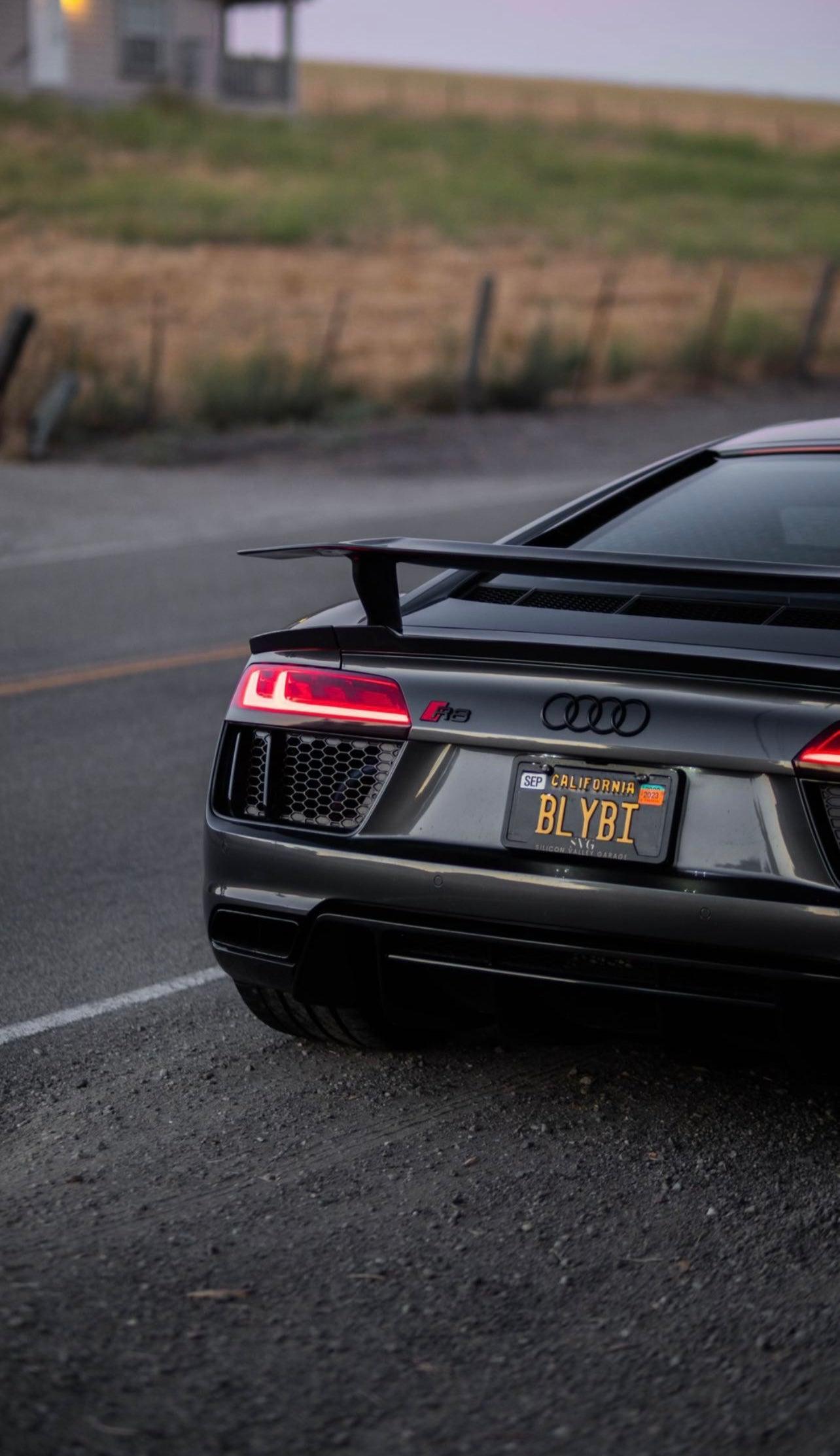 Audi R8 Artisan Carbon Fiber Wing