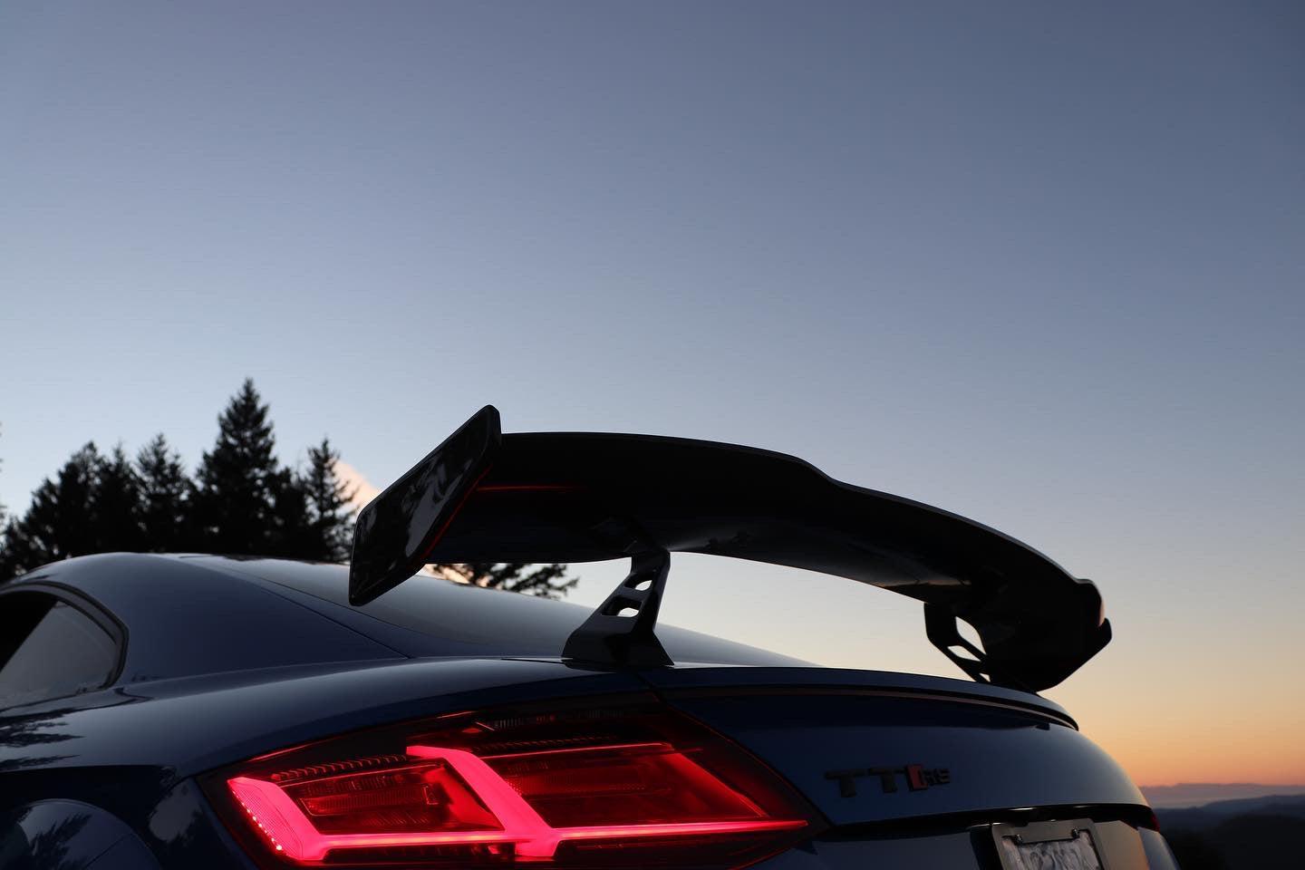 Audi TTRS Artisan Sport Carbon Fiber Wing - eurobahndynamics