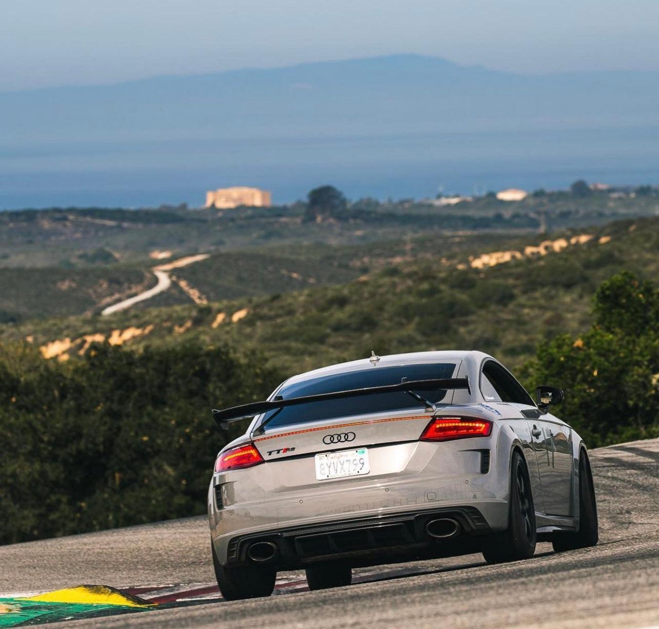 Audi TTRS Artisan Sport Carbon Fiber Wing - eurobahndynamics