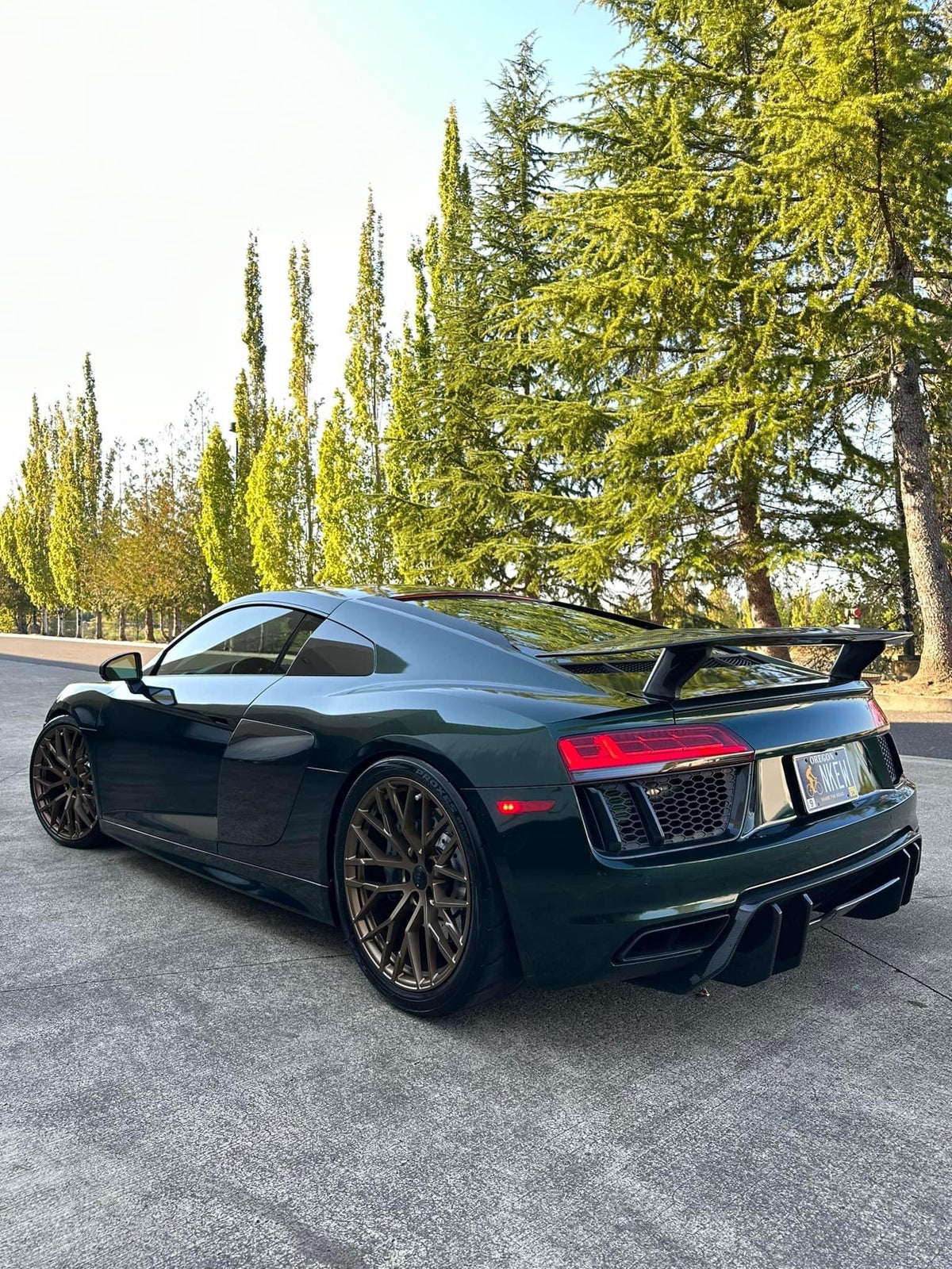 Audi R8 Carbon Fiber Artisan Rear Diffuser | Eurobahndynamics