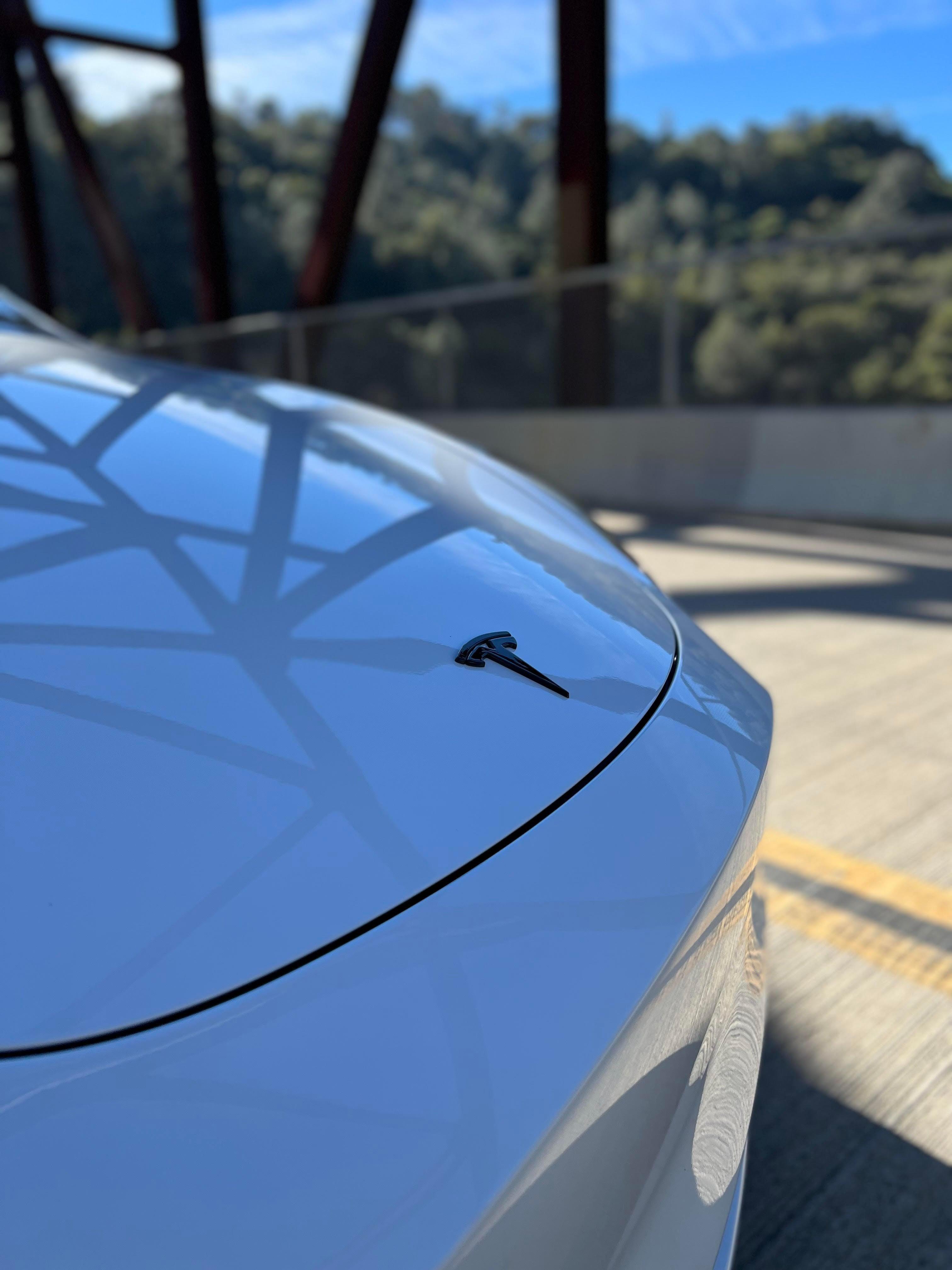 Tesla model 3/Y Hood emblem - eurobahndynamics