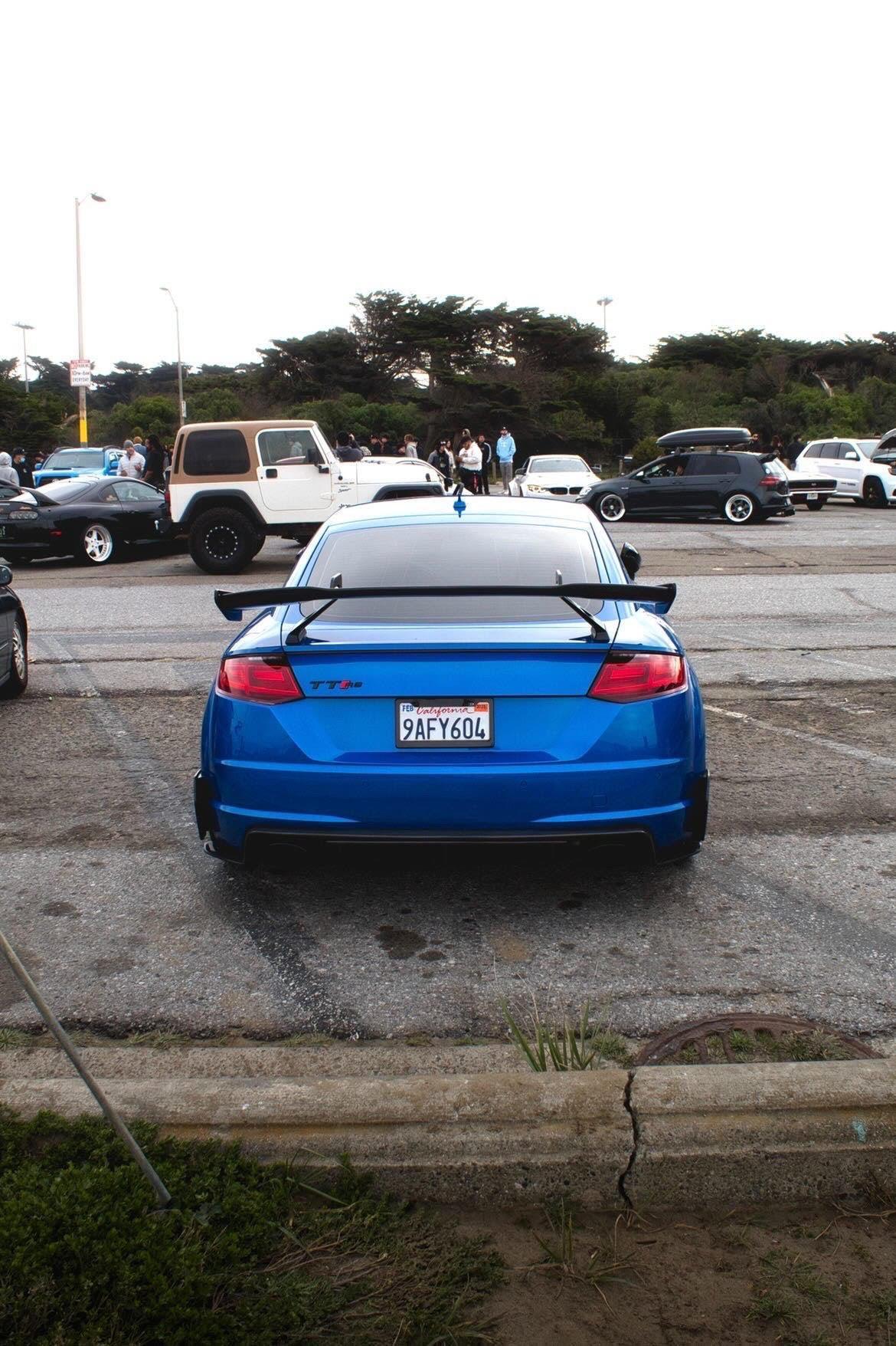 Audi TTRS Artisan Sport Carbon Fiber Wing - eurobahndynamics