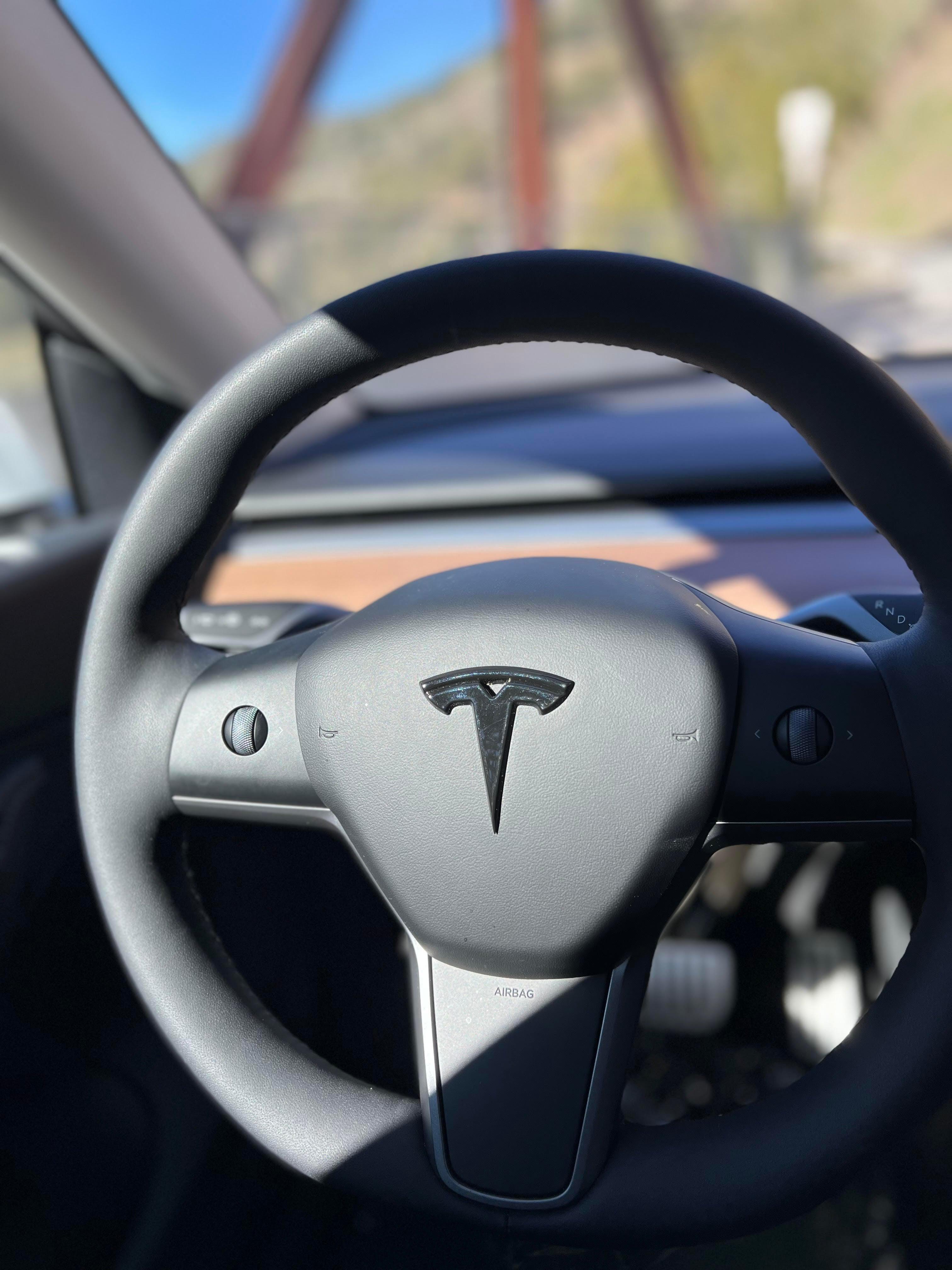Tesla Model 3/Y Steering Wheel Badge - eurobahndynamics