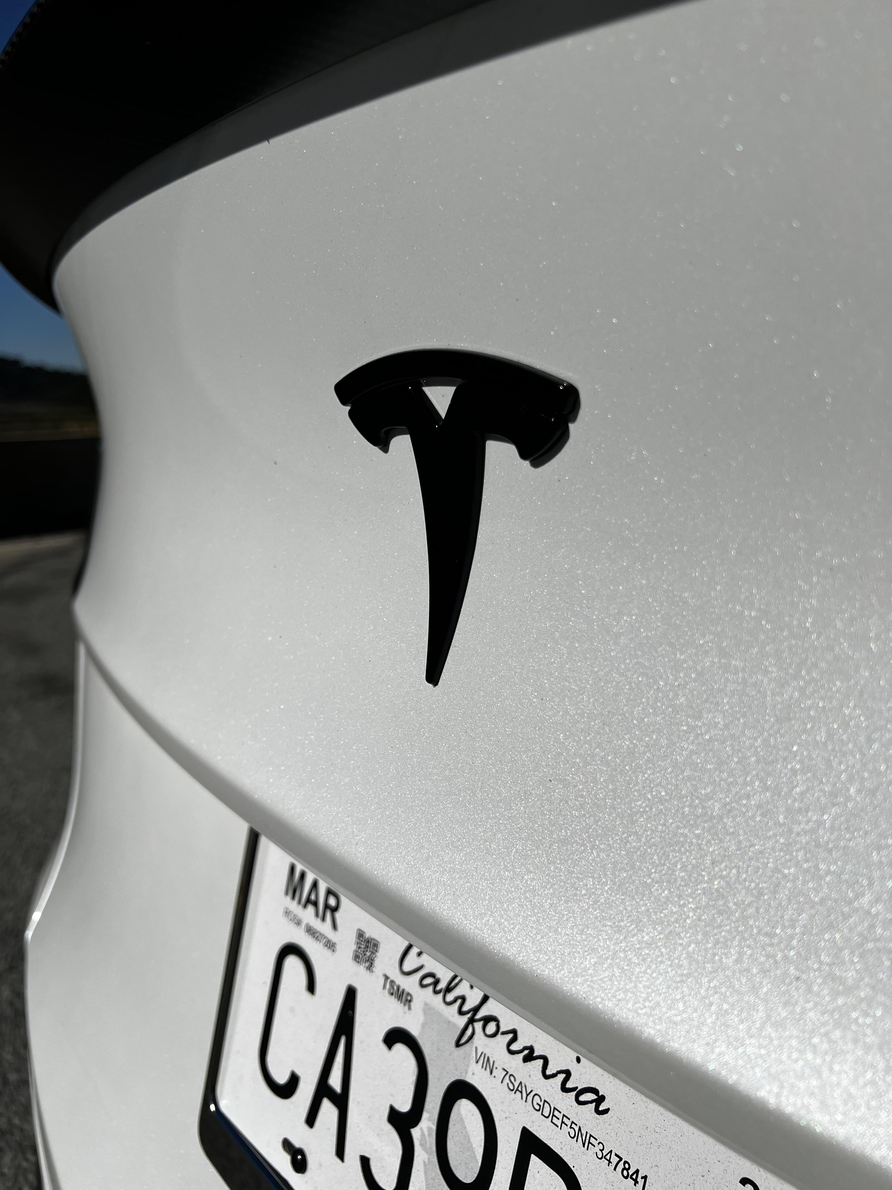 Tesla Model 3/Y Rear Badge - eurobahndynamics